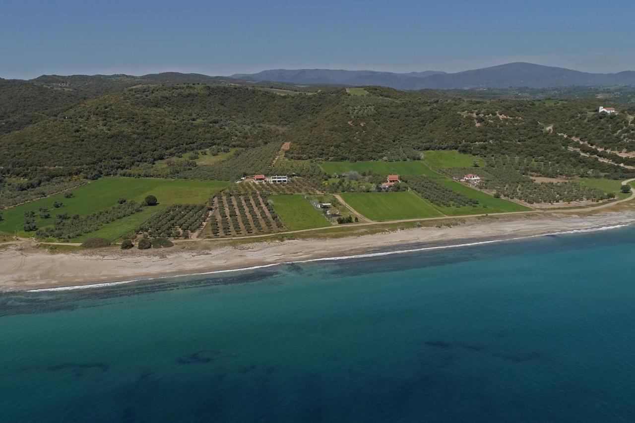 Casa Del Olivar Develikia Bagian luar foto